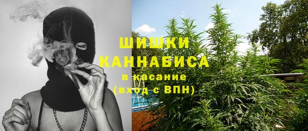 стаф Верхний Тагил